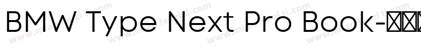 BMW Type Next Pro Book字体转换